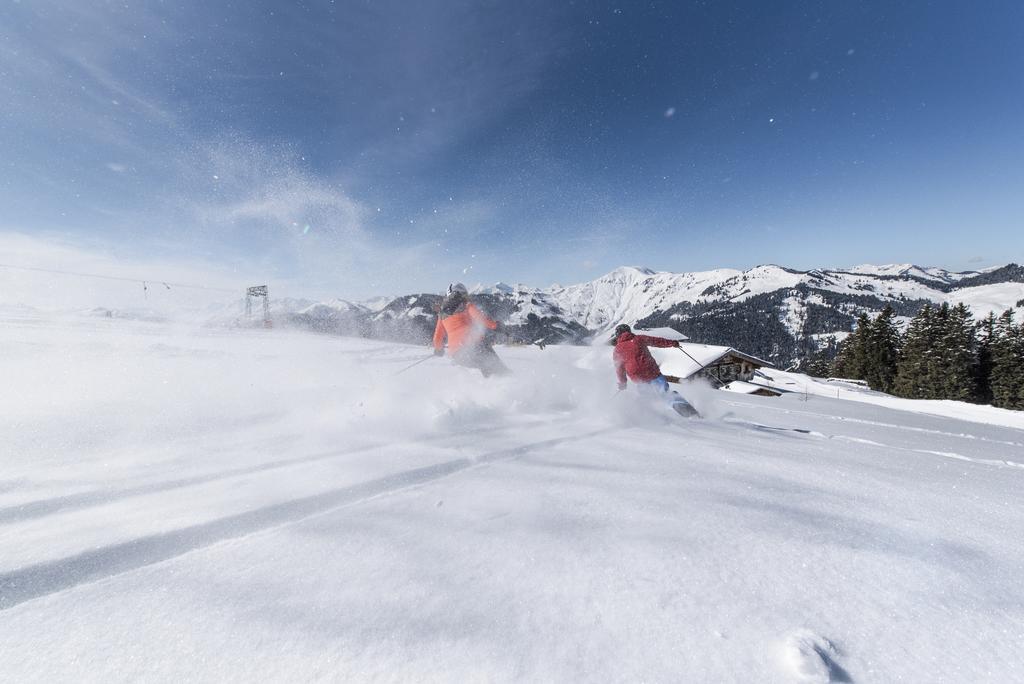Apartchalet Almliebe Maria Alm am Steinernen Meer Eksteriør bilde